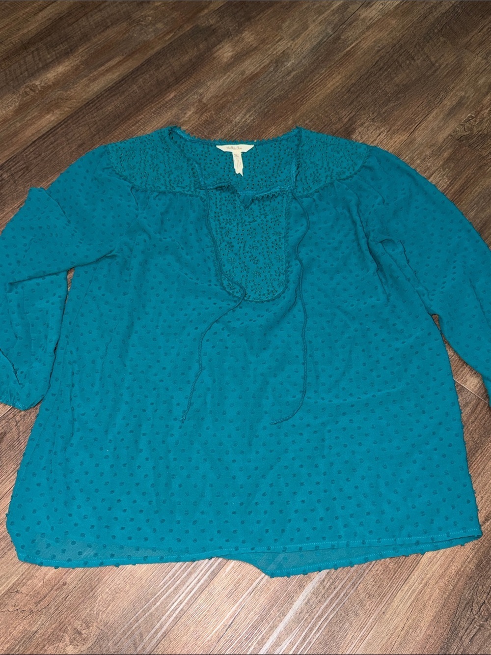 Women’s Matilda Jane Swiss dot top size M